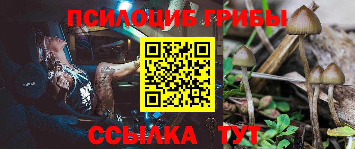 Галлюциногенные грибы мицелий Кашира