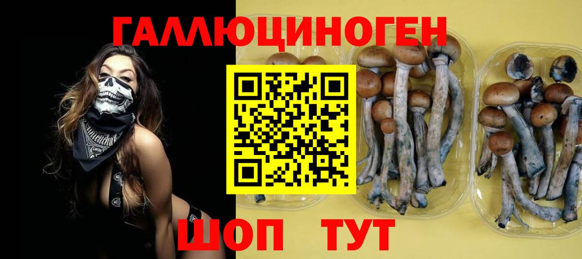 Галлюциногенные грибы мицелий  Вход с VPN  Кашира 